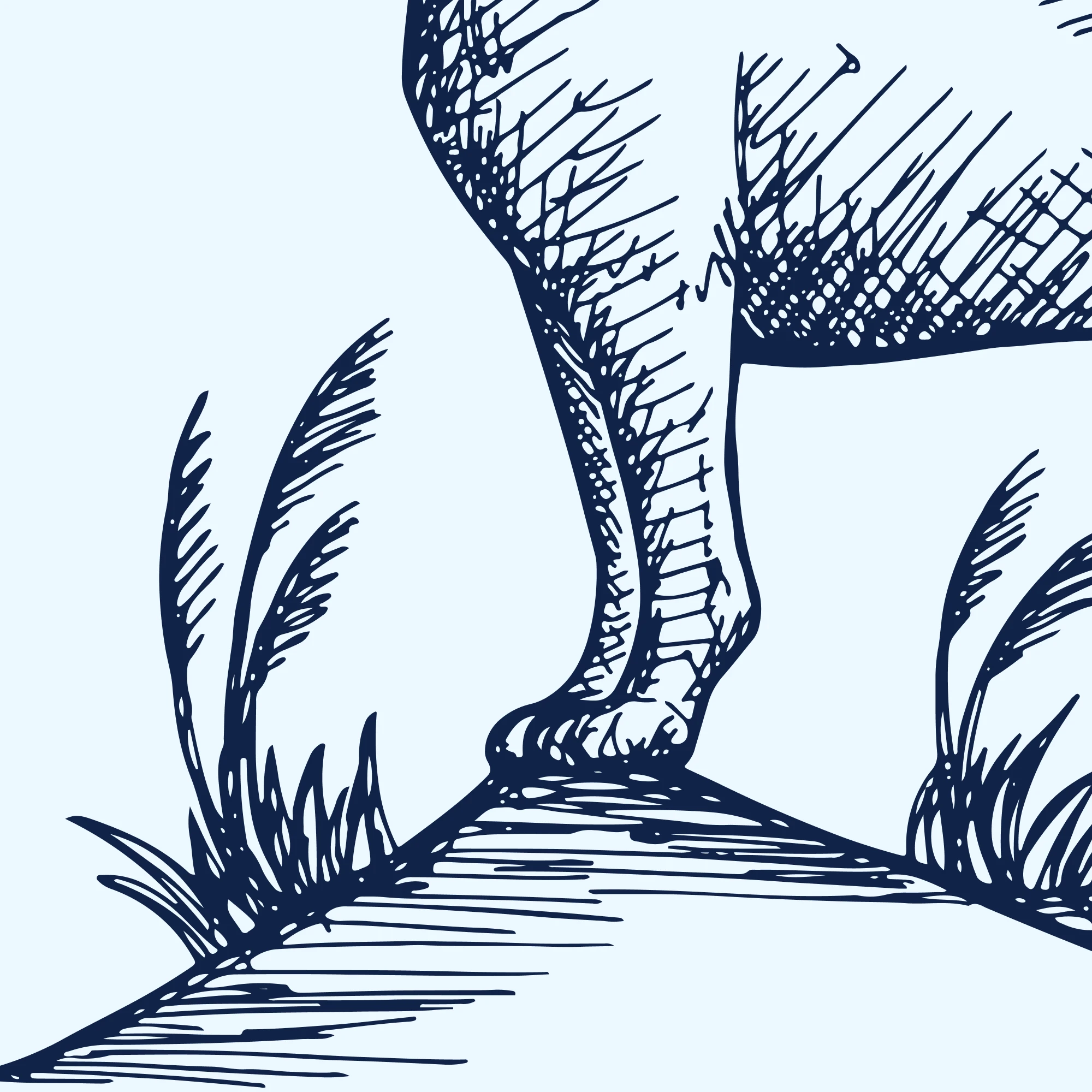 Logo Trimboetiek by Yeliz - detail 2